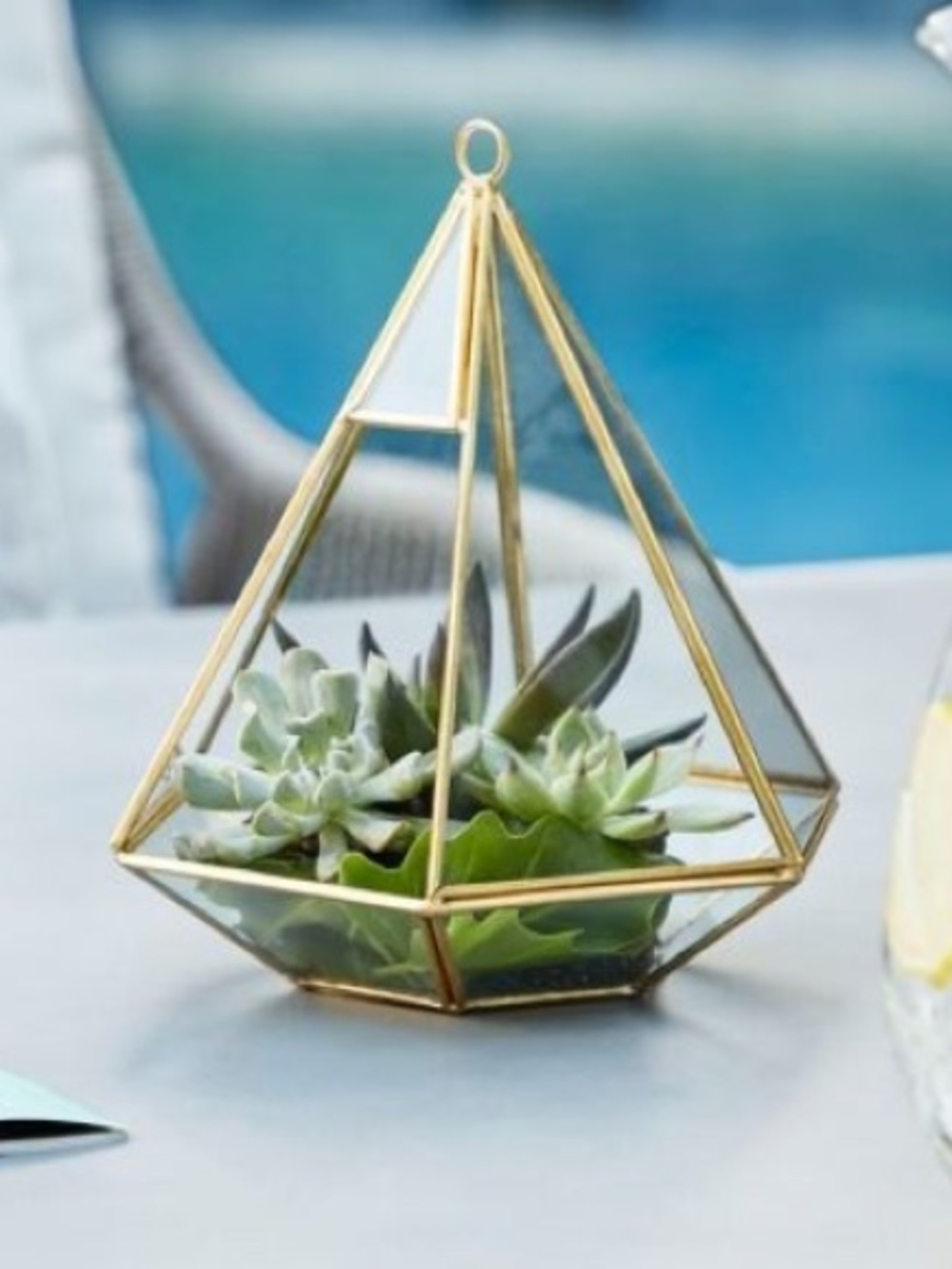 Gold Glass Pyramid Terrarium with Green Succulents - Home Accents